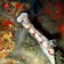 섬 게스트하우스 이미지