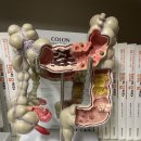 혜민의원 이미지