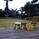 스테이비갠오후 이미지