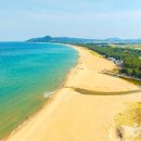 (주)영덕버스 네이버블로그