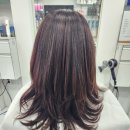 스파시스 | 보령미용실 스파시스 크리닉케어 새치커버 염색 시술후기!!