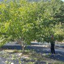 송주농장 이미지