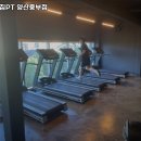 양산시 헬스장 애니멀짐PT 양산중부점 내용가격운영시간주차리뷰 알아보기