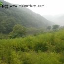 미리내 농장 이미지