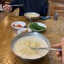 남경식당 | 서구맛집 콩국수맛집 대구남경식당 방문후기