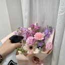 솔앤꽃
