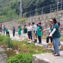 양지천1 이미지