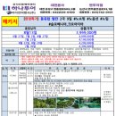 라이언여행사