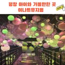 나비환상곡 | 2026 평창 아이와 가볼만한 곳 이나트뮤지엄, 따뜻한 실내 데이트