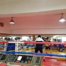 평촌 권투체육관 이미지