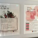 어른이 함께 읽는 영어 그림책 이미지