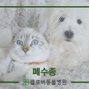 송도 클로버동물병원 이미지