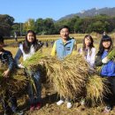 서울도봉초등학교 이미지
