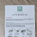 한결메디큐어 | 강아지 중성화 수술 후 환견복 후기｜6개월 시츄 나나, 넥 카라보다 훨씬 편했어요