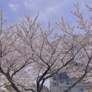 (주)와이디와이 네이버블로그