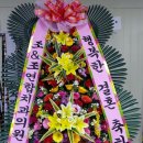조치과의원 이미지