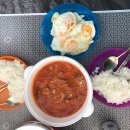 신대학약국 | [180715_부부 세계일주 D+400] 유럽 자동차 캠핑여행 / 비운의 성, 하이델베르크 성 / 입장료, 푸니쿨라...