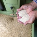 형제농축산 이미지