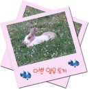 아이이뻐