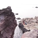 남국목장 이미지