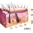 피부스토리 - 북구 연암15길 3 | 피부스토리