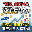 닉스테크 | "손절 안 하길 잘했다" 삼전닉스 300조 주주환원설에 반도체 개미 반등할까?