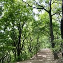 방태막국수 이미지