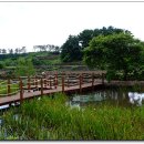 곽금초등학교 이미지