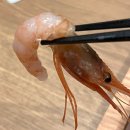 (료칸(구.장승포비치호텔) | 삿포로│호텔 시카노유 조잔케이 (삿포로 여행 료칸 있는 호텔 추천)