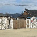 토르스테이 이미지