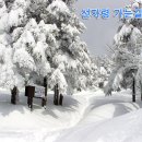 동해추암(새해일출)+선자령(설경산행) 31~16년1월1일(목~금요일) 이미지