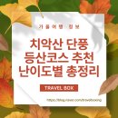금대자동차야영장(치악산국립공원) | 치악산 단풍 등산 코스 추천 난이도별 총정리(초보~고인물)