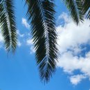 수영지역아동센터 이미지