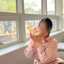 케치롱 이미지
