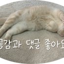 은행대우1차아파트 이미지