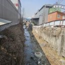 용정천 파이낸셜뉴스