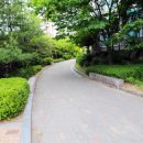 신일공인중개사사무소 이미지