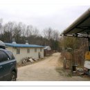 야곱 염소농장 이미지