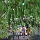 결성면 원천마을회관 이미지