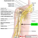 건강요가(목) 이미지