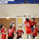 제4회 고성공룡배 전국 남.녀 배구대회(대구교대OB-김해TOP) 이미지