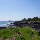 레브호텔제주 이미지