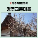 교촌한옥마을 최부자아카데미 교육장 화장실 | 유퀴즈 봄이 찾아온 경주교촌마을 최부자댁 경주향교