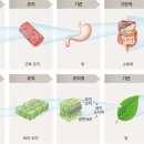 구성1 이미지