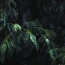 석바위한의원 이미지