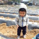 준영농장 이미지