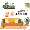 배리주방
