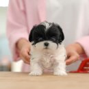 그루밍 플래너 이미지