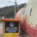 대구 근교 청도 액티비티 레일바이크 후기(+시간, 가격)