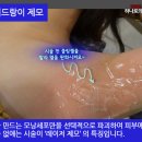 하나로원